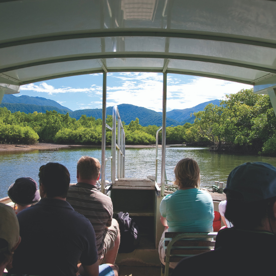 river cruise daintree tours